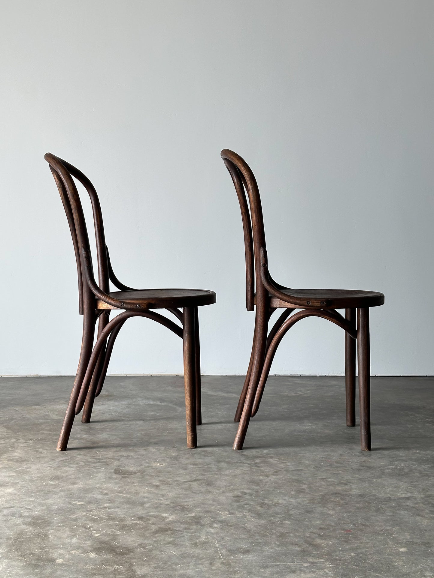 Bentwood Oak Café Chairs W/ Rose Floral Seats, 1933 World's Fair, Set of 7