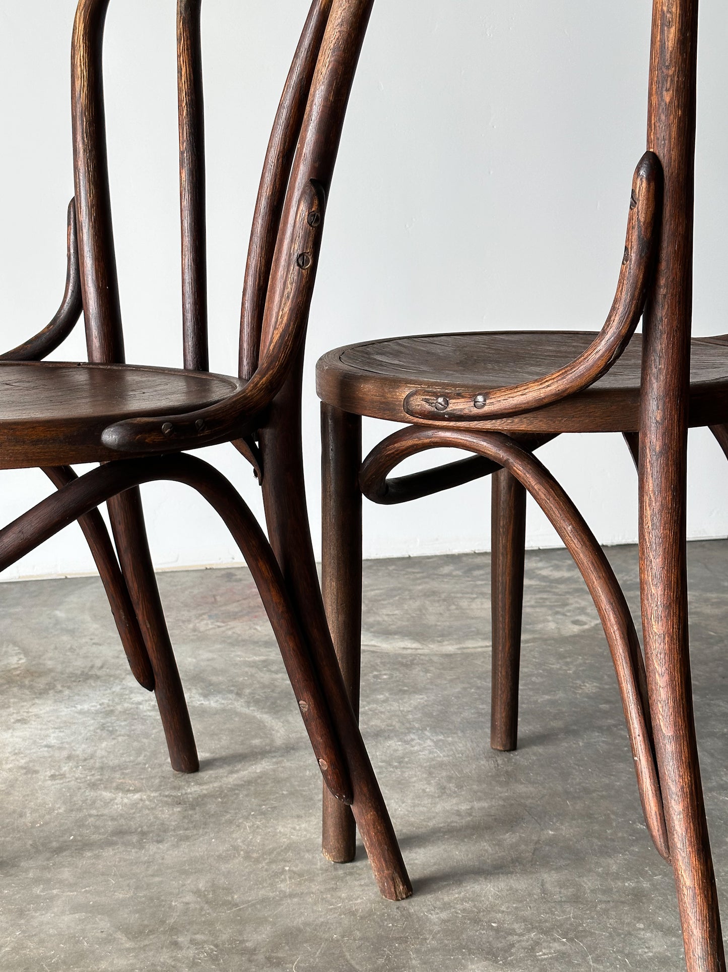 Bentwood Oak Café Chairs W/ Rose Floral Seats, 1933 World's Fair, Set of 7