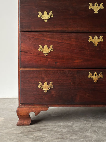 Chippendale-Style Black Walnut Tall Chest of Drawers, 1930s