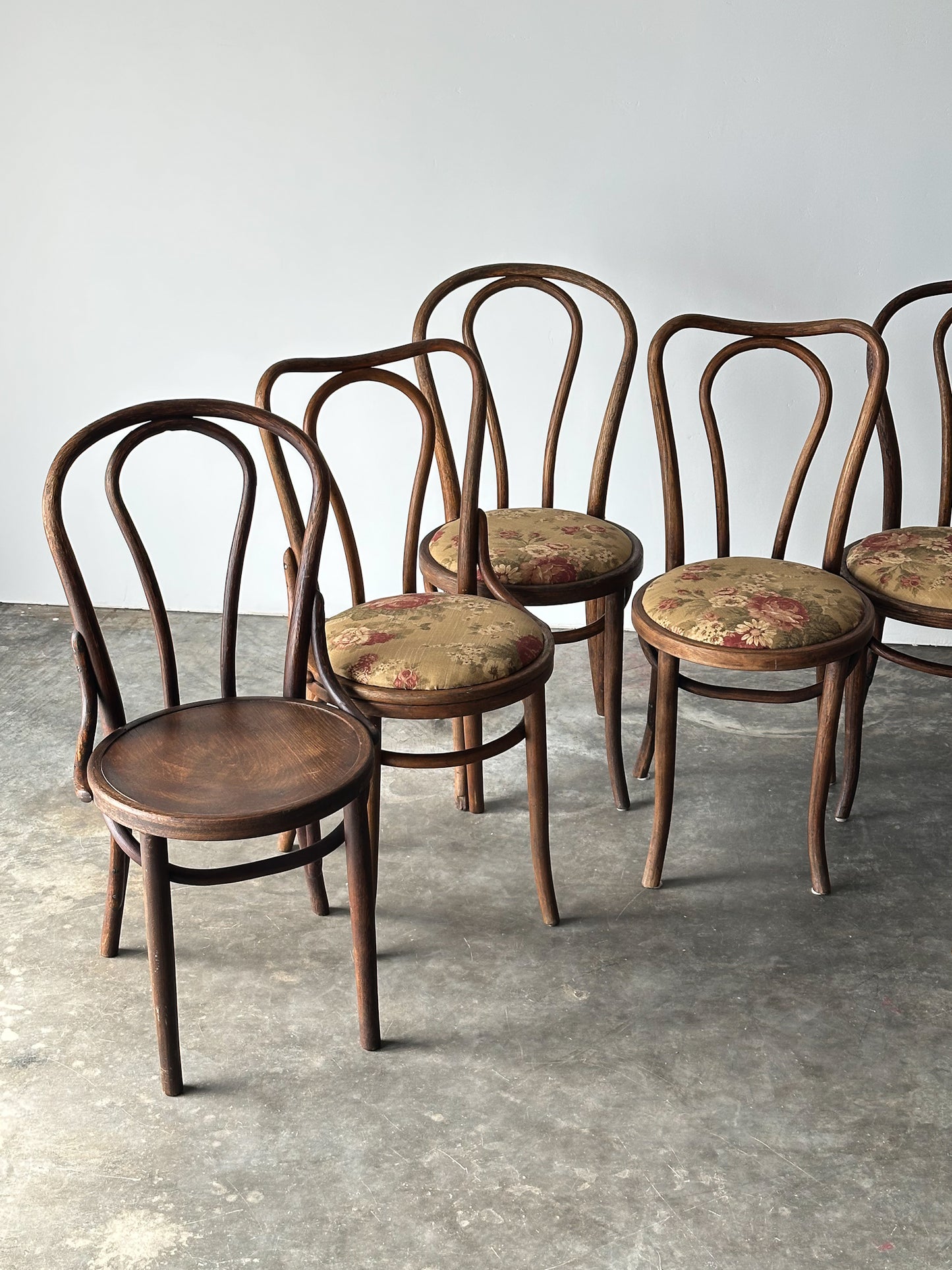Bentwood Oak Café Chairs W/ Rose Floral Seats, 1933 World's Fair, Set of 7