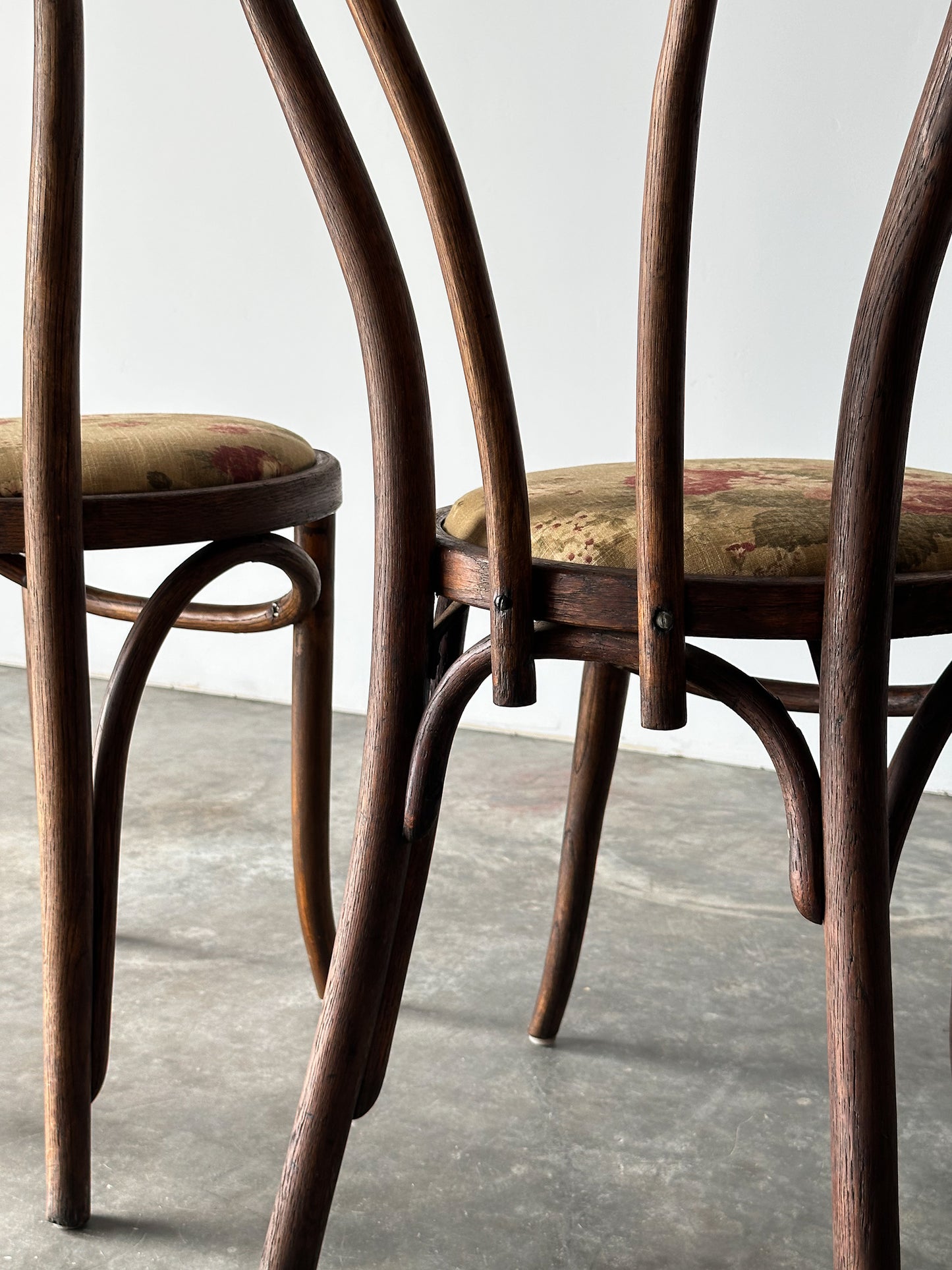 Bentwood Oak Café Chairs W/ Rose Floral Seats, 1933 World's Fair, Set of 7