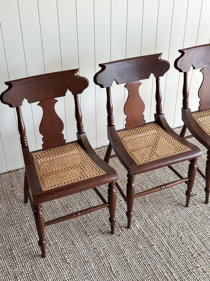 1960s Vintage Sculpted Mahogany Dining Chairs with Cane Seats, Set of 4