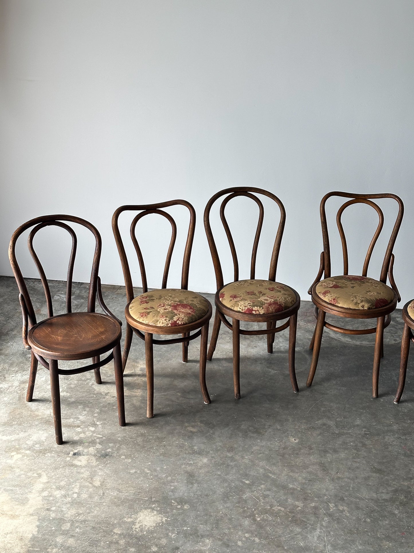Bentwood Oak Café Chairs W/ Rose Floral Seats, 1933 World's Fair, Set of 7