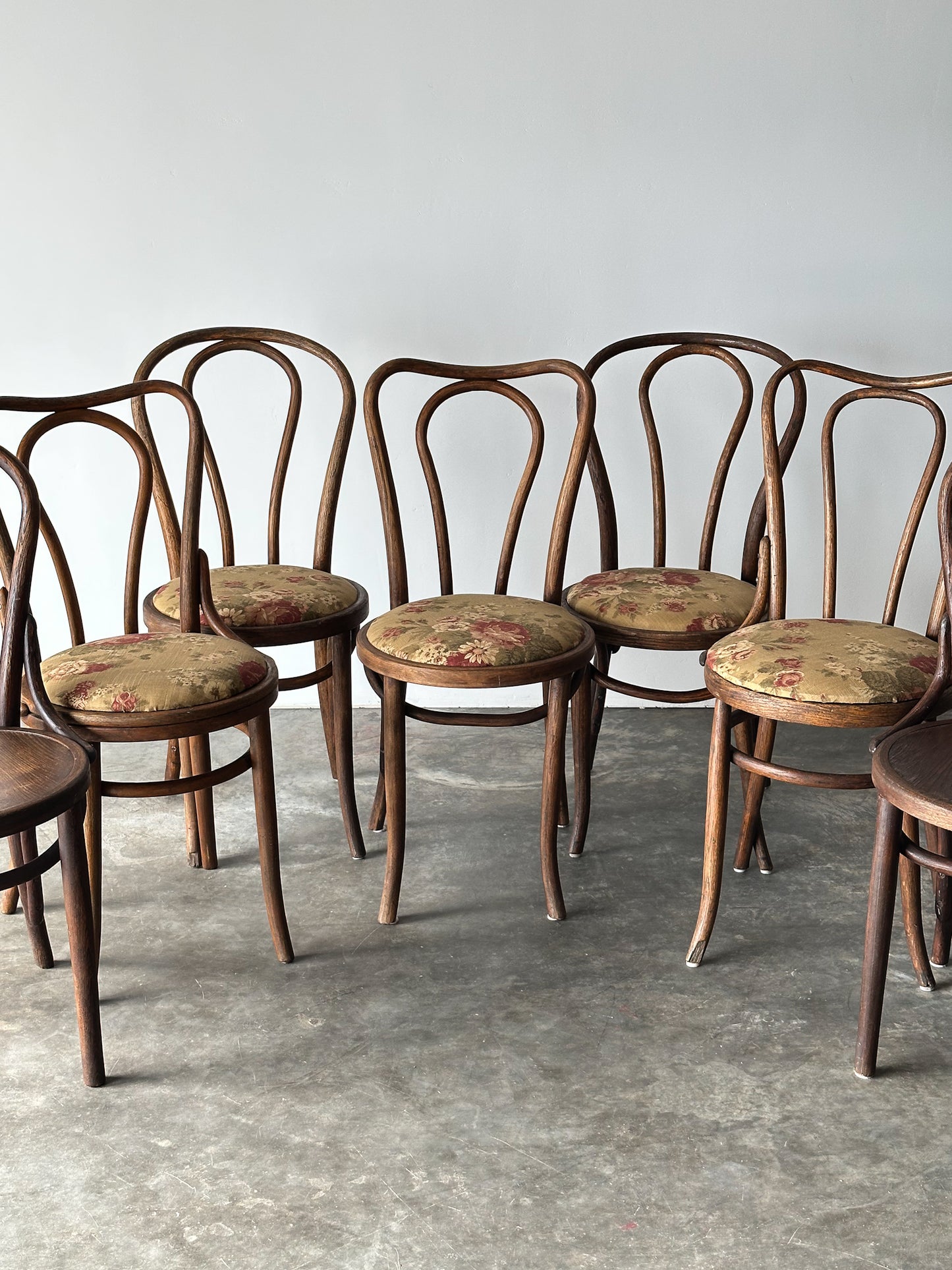 Bentwood Oak Café Chairs W/ Rose Floral Seats, 1933 World's Fair, Set of 7