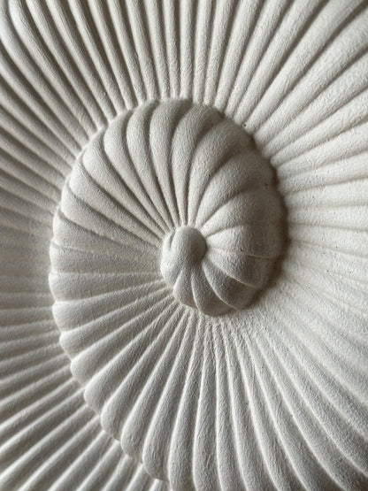 Vintage Plaster Nautilus Table Lamps, Pair